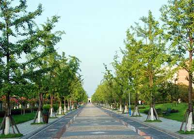 重点学校