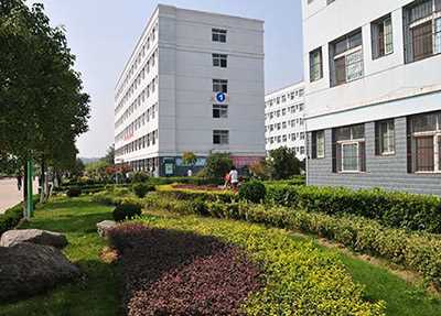 各专业的专业知识 各专业的专业知识