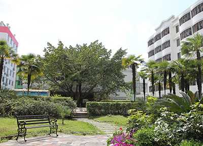 åå·çå«ç妿 ¡ åå·çå«ç妿 ¡