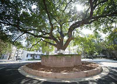 校园一角 校园一角