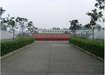 校园一角