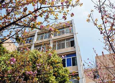 å®å®¾è䏿æ¯å¦é¢