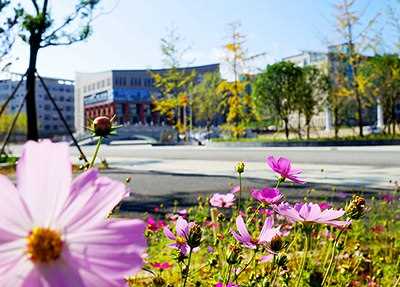 达州华英学校校园风景