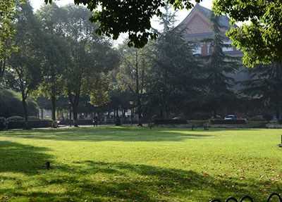 四川大学职业技术学院草坪