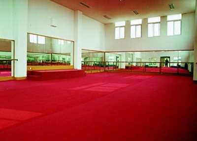 成都市龙泉驿航天中学校体育馆