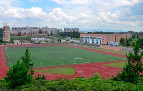 大新县职业技术学校