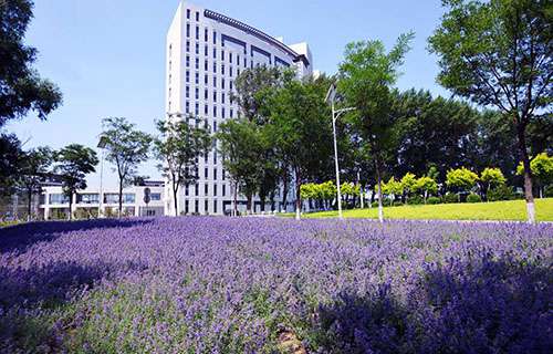 临汾武术职业高中学校