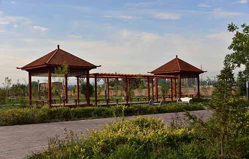 招远农业机械化学校