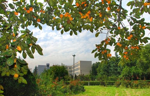 烟台电子技工学校