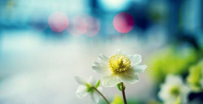 四川电气自动化专业学校招生