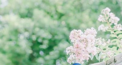 长治第八中学(职业高中部)