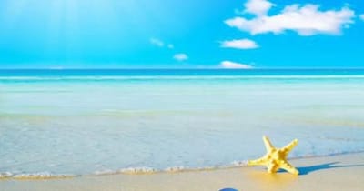 南康电子工业技术学校