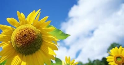 重庆汽车制造与维修专业学校招生