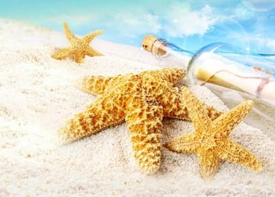 河南农业广播电视学校