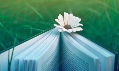 西华县第一职业中等专业学校