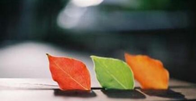 河南电子科技学校