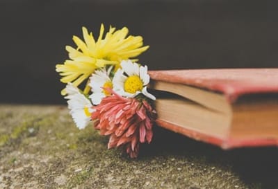 安阳市体育运动学校