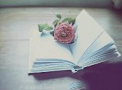 鲁山县中等专业学校