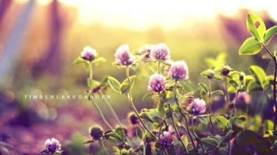 漯河市第二中等专业学校