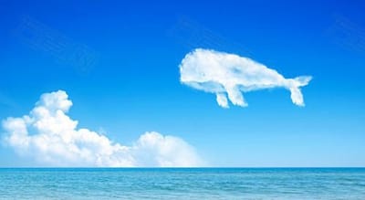 江西轻工业高级技工学校