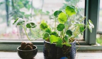 贵州计算机应用专业学校招生