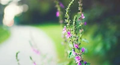 贵州旅游专业学校招生