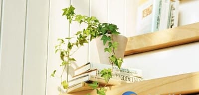 四川旅游管理专业学校招生