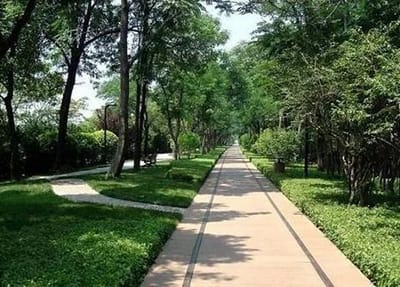 四川高中起点中医专业学校招生