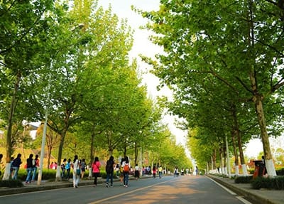 重庆机电技术应用专业学校招生