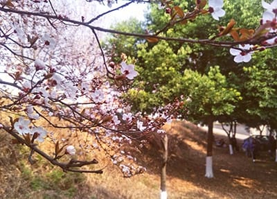 四川室内设计师专业学校招生
