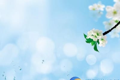 西华县第一职业中等专业学校