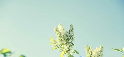 安阳市体育运动学校