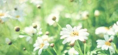 郑州国防科技学校