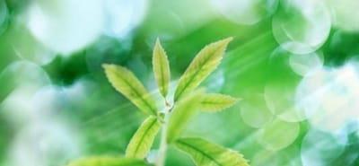 重庆第二农业学校
