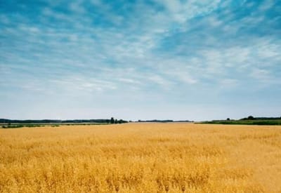 双流县成人中等专业学校