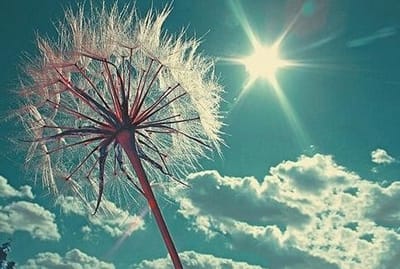 开封市信息工程学校