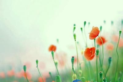 南阳市电子中等专业学校