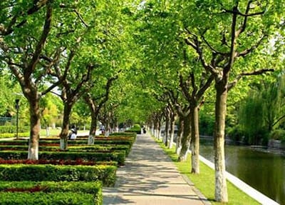 武汉黄陂职业技术学校