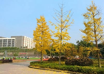 重庆机电工业学校