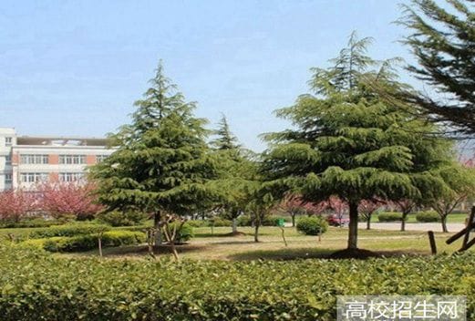 成都市现代职业技术学校图片