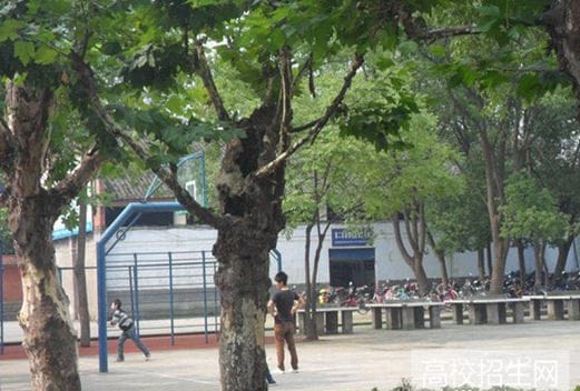 宜宾科普职业技术学校图片