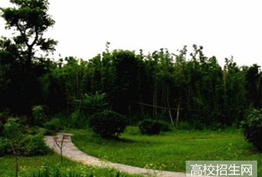 巴中师范学校图片