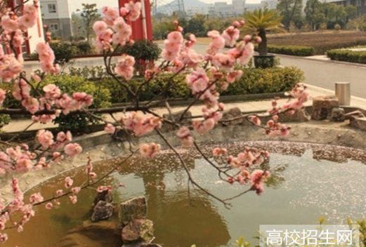 成都华夏旅游商务学校图片