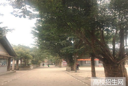 峨眉山市旅游学校图片