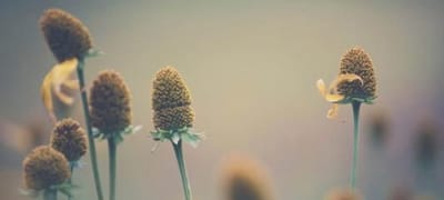 佛山南海区盐步职业技术学校