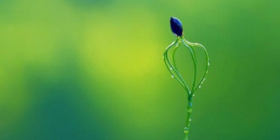 恩平鳌峰中等职业技术学校