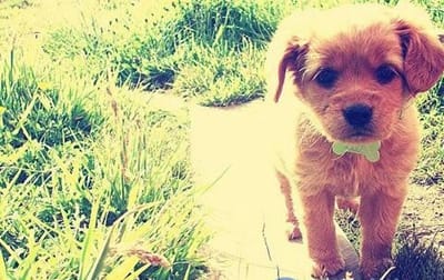 贵州贵阳市商贸学校