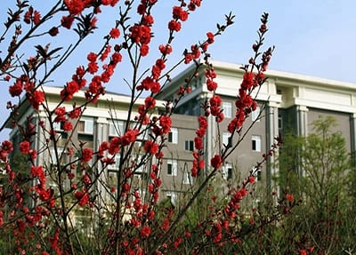 开平吴汉良理工学校