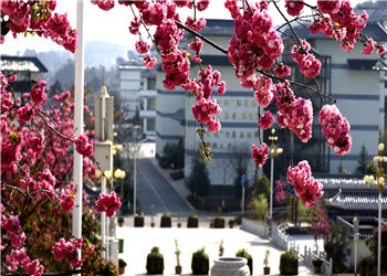 昆明卫生职业学院2023年中专部计划内招生专业