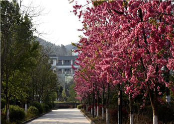 云南昆明骨伤科学校2023年中专部新生入学须知